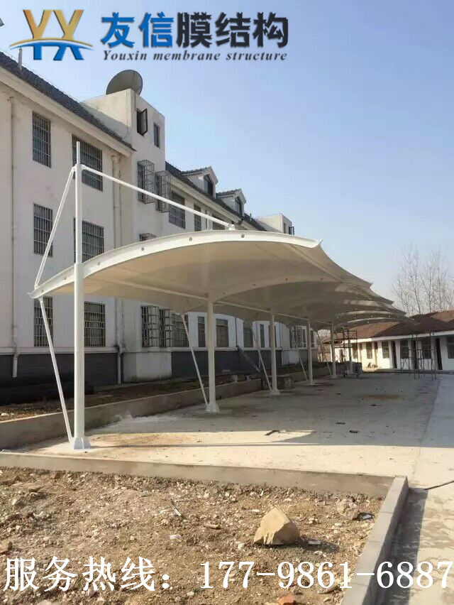 案例展示 案例展示